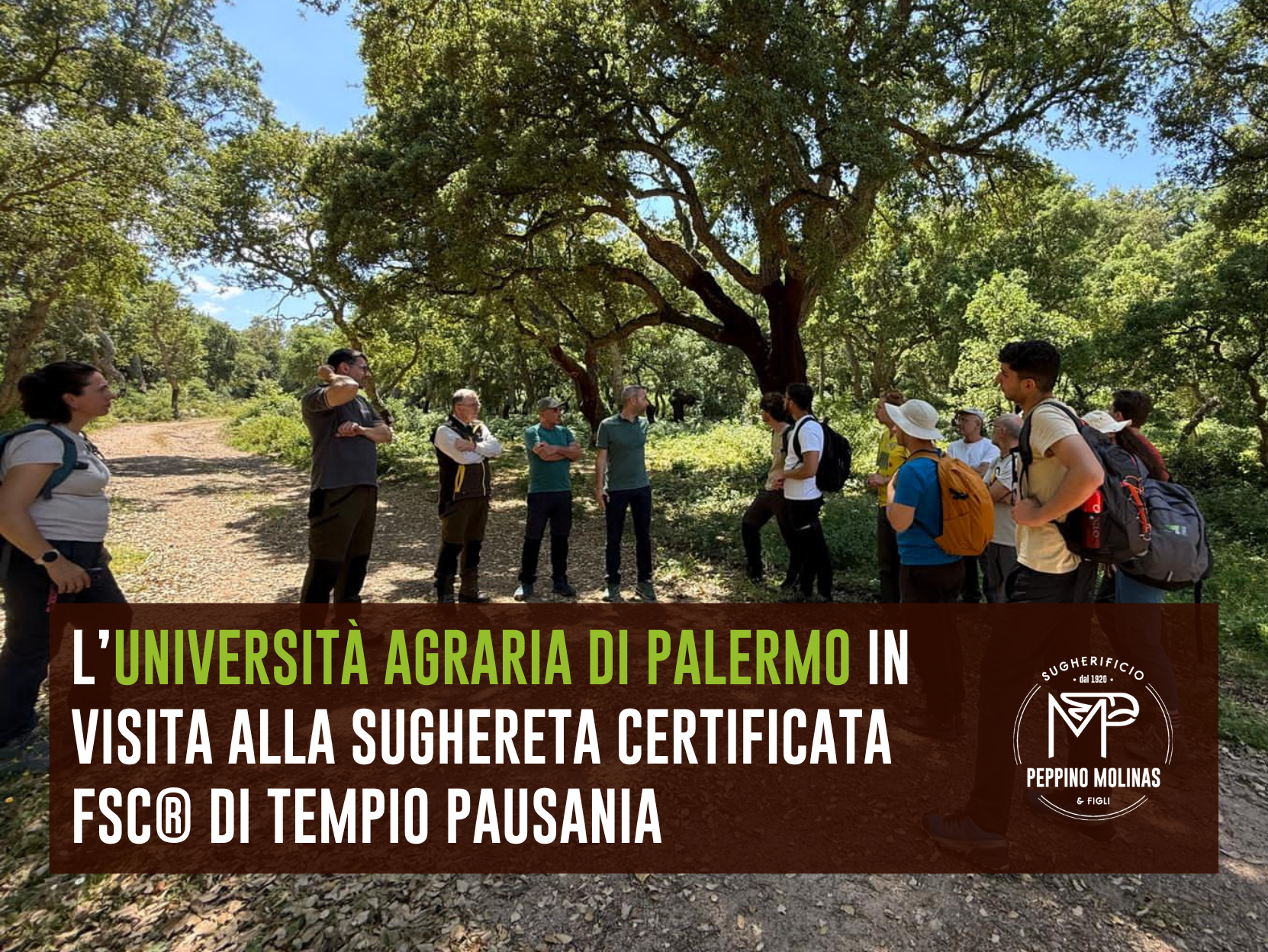 NEWS6_visitaGuidata