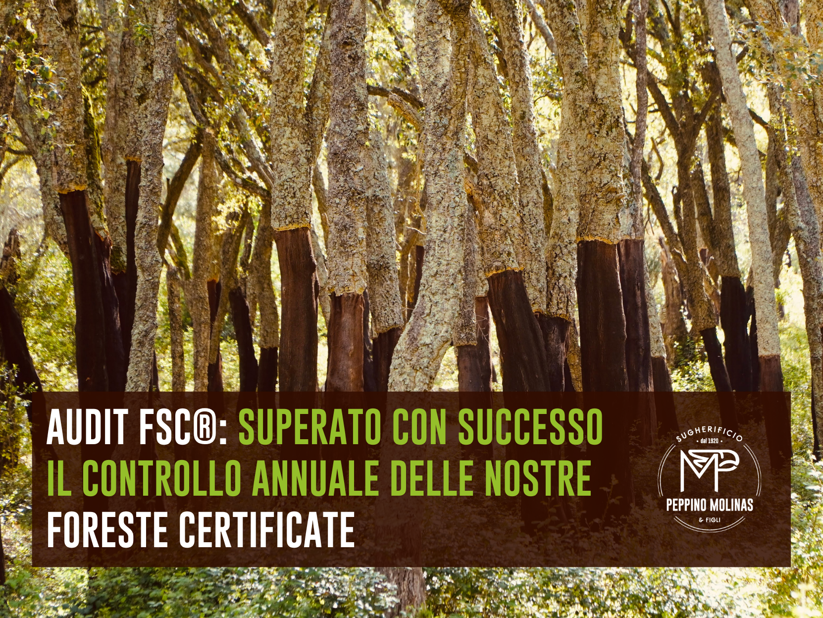 NEWS_formato nuovo_MOLINAS (11)