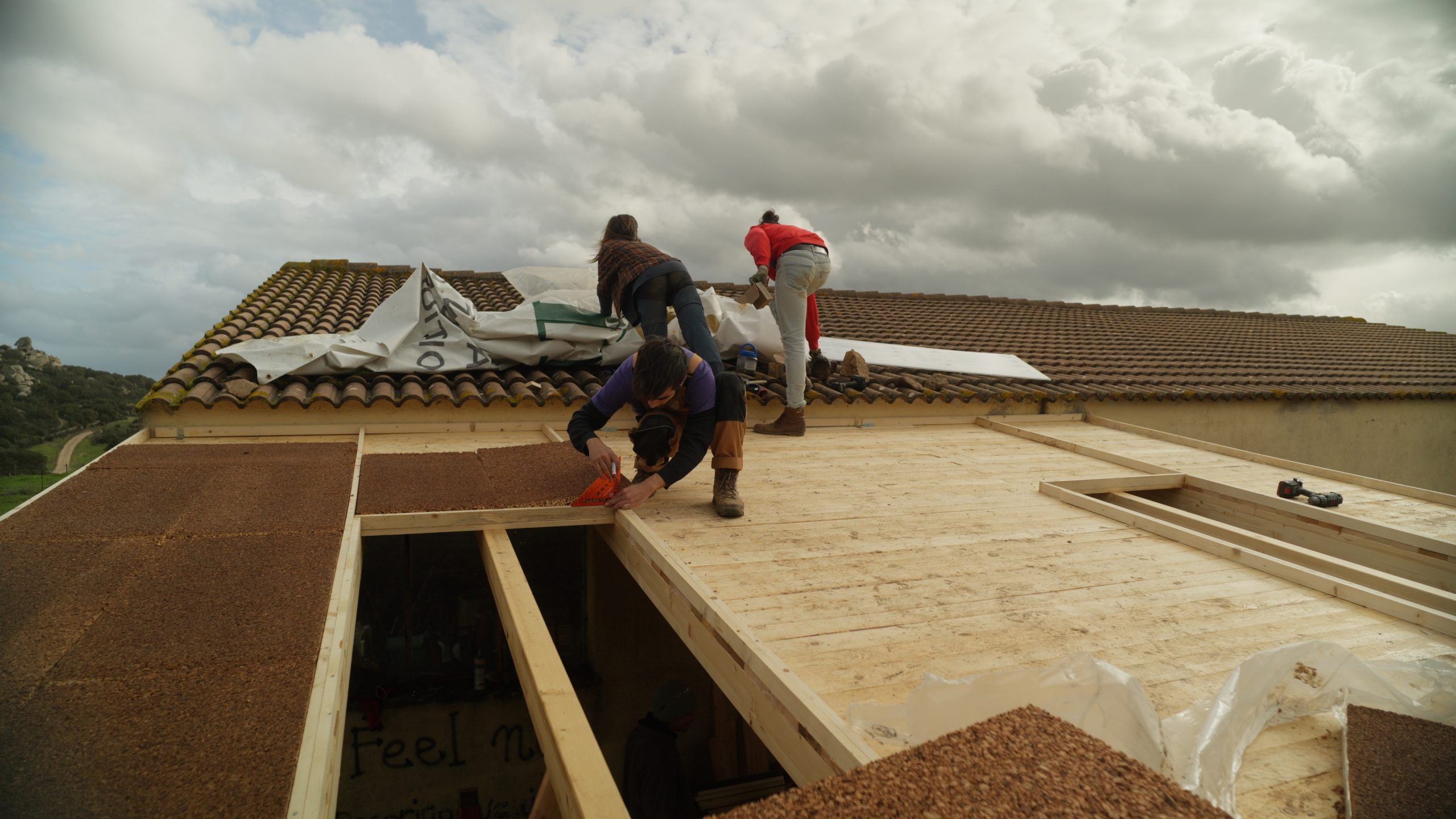 Still 2026-01-25 092740_1.111.1