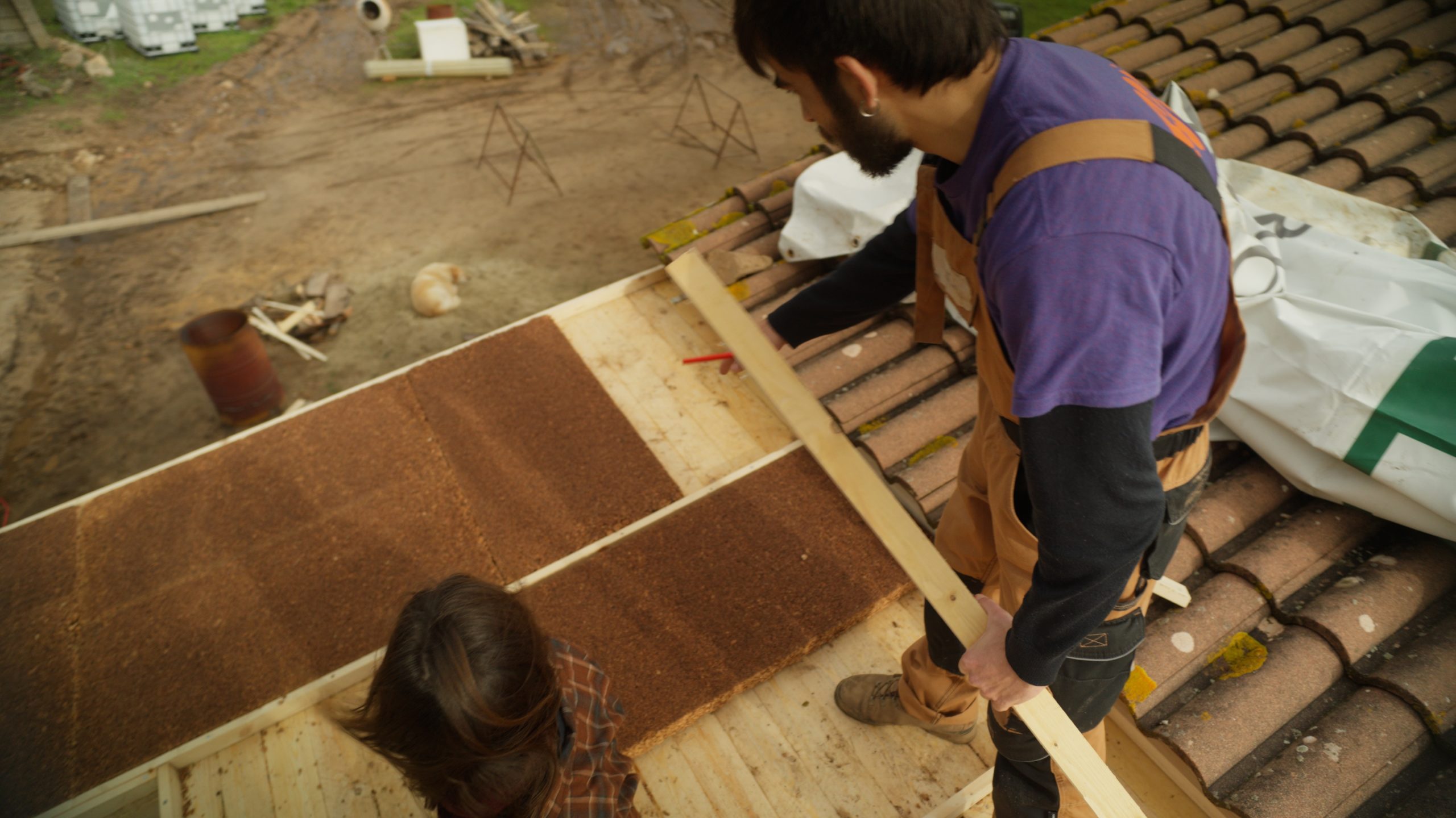 Still 2026-01-25 092740_1.130.1