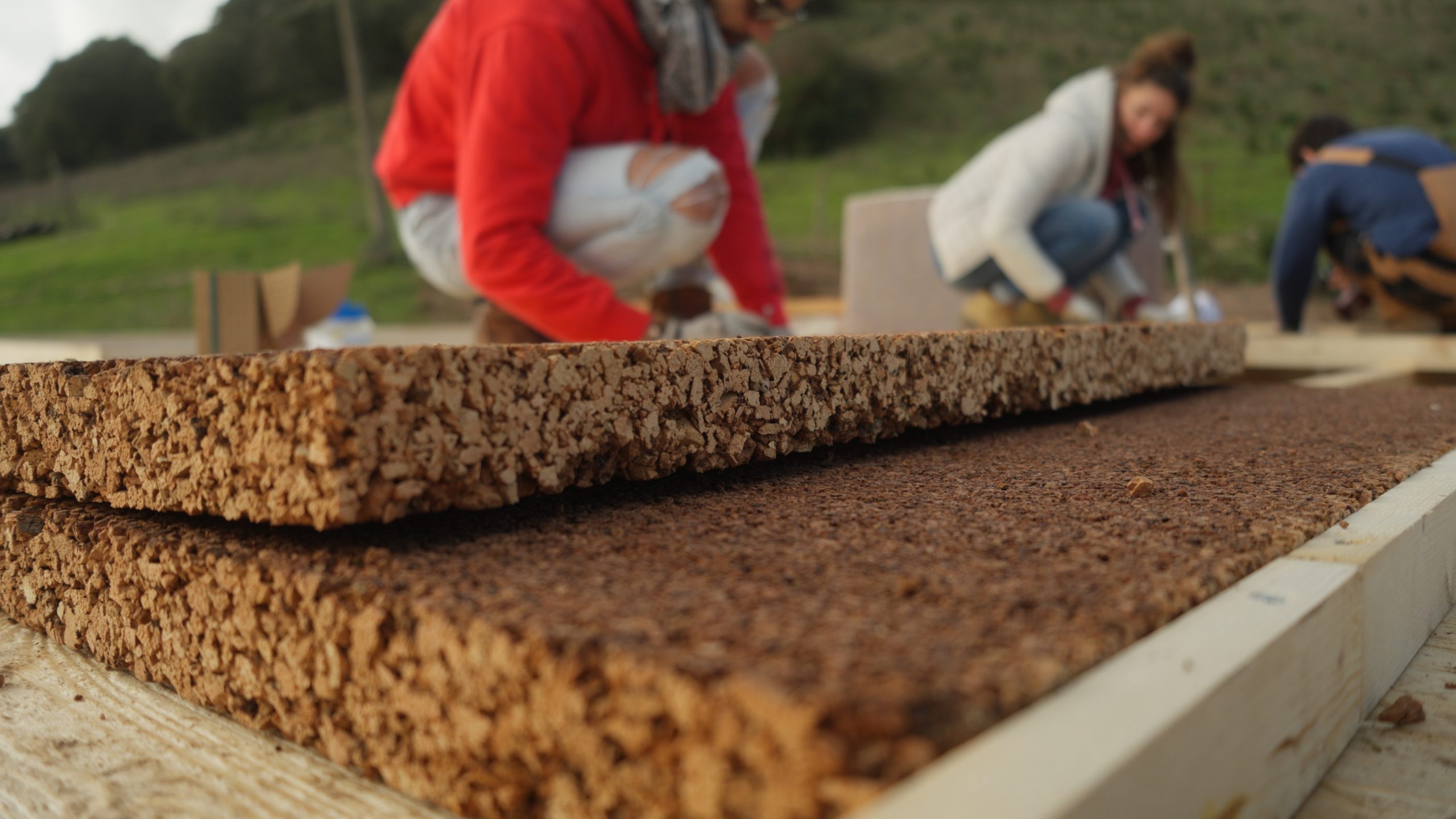 Still 2026-01-25 092740_1.79.1