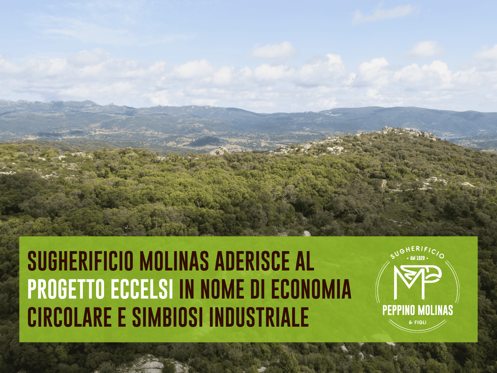progetto_eccelsi (1)